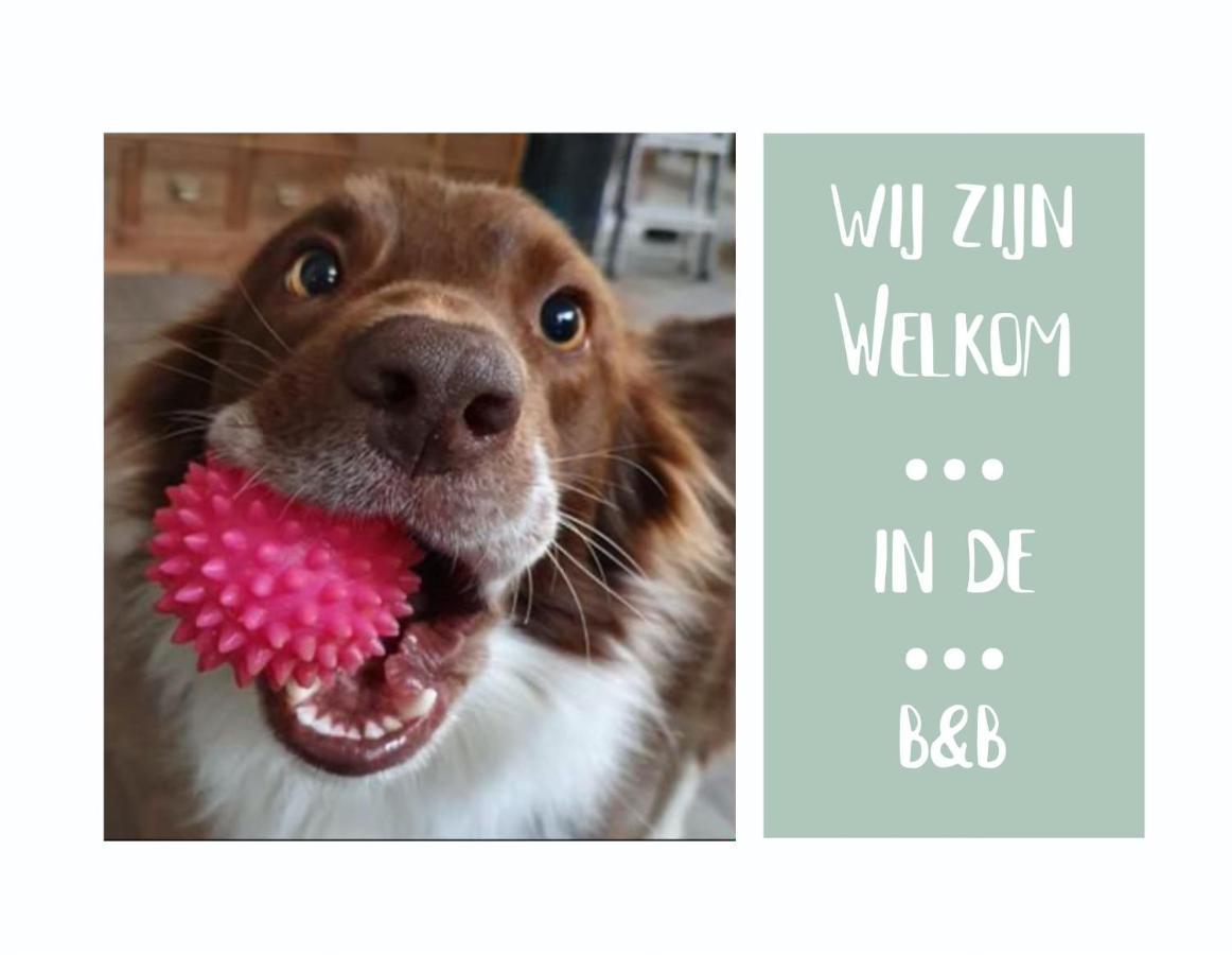 B&B Het Gelders Buitenleven Overasselt Exterior foto