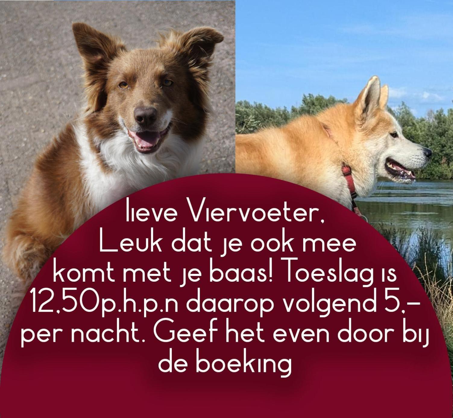 B&B Het Gelders Buitenleven Overasselt Exterior foto